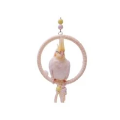 Climb Swing Parrot Sugar Glider Nest Cradle Squirrel Hamster Parrots Birds Rats Other Small Pets Supplies Entertainment (Yellow And White)