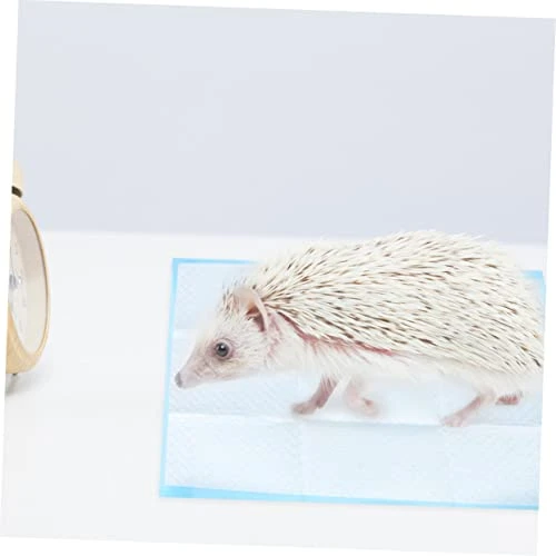 PATKAW 50pcs Chinchilla Bedding Guinea Pig Cages Indoor Disposable Underpads Cat Urine Pad Rabbit Potty Training Pads Dog Pads Extra Large Pet Supplies Bedpan Potty Pad Rabbit Cage Litter - Image 6