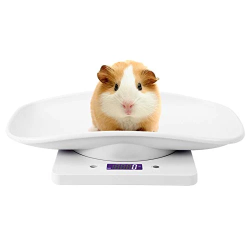 MOUMOUTEN 1G~10 Kg Digital Electronic Scale, ABS White Black Light Display Electronic Weight Scale Digital Scale For Puppy Cat Rabbit Tortoise Piglet Animals - Image 5