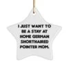 GENERIC I Just Want To Be A. Star Ornament, German Shorthaired Pointer Dog Present From Friends, New Christmas Ornament For Dog Lovers, , Pet Toys, Pet Treats, Pet Food, Pet Supplies, Pet Products
