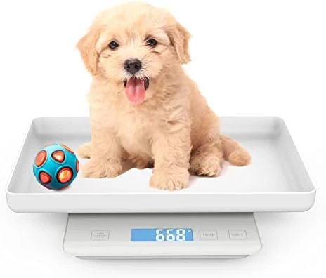 Digital Pet Scale With Tray - Perfect For Puppies, Newborns, Cats, Hamsters, Hedgehogs And Other Small Animals - 33lb/0.03oz Accuracy - White - Image 7
