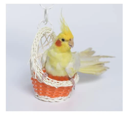 Parrot Supplies Nest Swing Toy Bird Cage Hanging Bite Toy Cage Display Pendant For Large And Medium-Sized Birds Parakeet Budgie Cockatiel (Blue) - Image 5