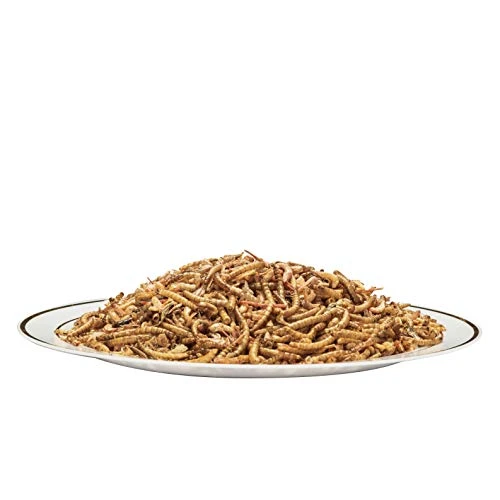 Appetizing Mealworms With Dried River Shrimp (8oz) All Natural 100% Non-GMO,Surf & Turf, Chicken, Fish, Ducks, Wild Birds, Turtles, Hamsters, Fish, And Hedgehogs - Image 4