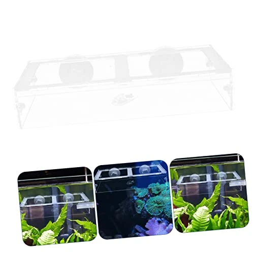 NOGRAX 1pc Fish Tank Feeding Ring Accessory Tray Reptiles Feeder Bowl Suction Cup Fish Feeder Transparent Shrimp Feeder Acrylic Freshwater Feeder - Image 5