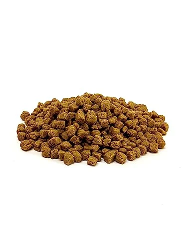 Harrison's Bird Food Power Treats With Red Palm Fruit Oil, 1 Lb. 454g - Image 2