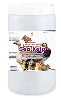 Pampered Chicken Mama Organic Chicken Kelp: Chicken Vitamins Supplement & Duck Feed Supplement 1LB