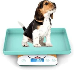 GENERIC Pet Weight Scale For Newborn Cats And Puppies, 33lbs With 1 Gram Accuracy, Designed For Pets Babies And Reptiles (Tiffany Blue)