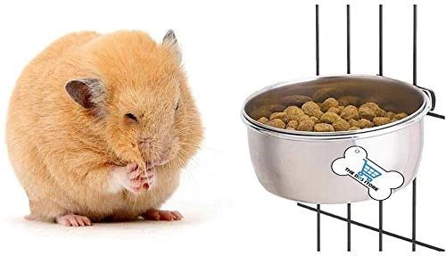 THE DDS STORE Birds Coop Cup Feeder Bowl With Clamp Holder, 200 Ml (Pack Of 4) - Image 4