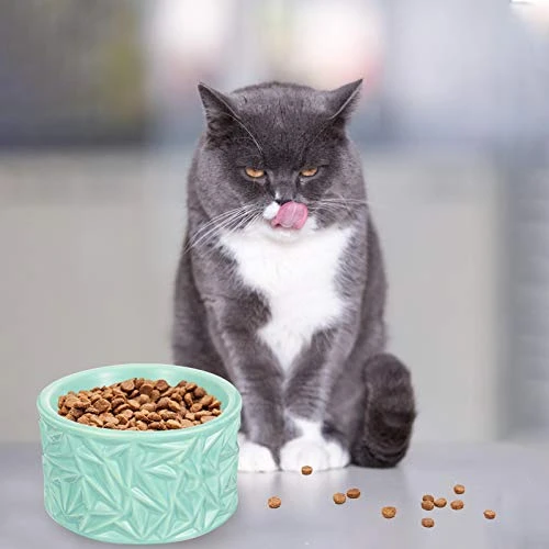 Pet Bowl Neck Protection Pet Feeder Ceramic Cat Bowl Cat Food Bowl Anti- Skid Feeder - Image 4