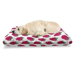Ambesonne Fruit Pet Bed, Repetitive Raspberries Arranged On A Plain Background Organic Foods, Chew Resistant Pad For Dogs And Cats Cushion With Removable Cover, 24" X 39", Dark Pink Forest Green