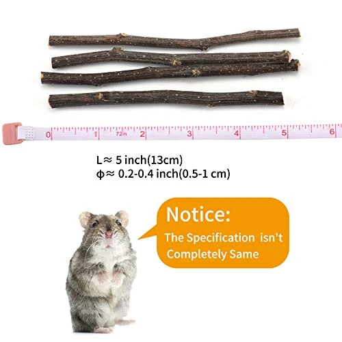 CHUHUAYUAN Natural Apple Sticks, 500g Treats Food For Small Animals, Chew Toys For Chinchilla Guinea Pigs Rabbit Squirrel Hamster Bunny - Image 2