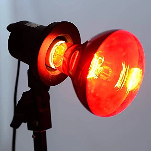 BONGBADA 6 Pack Heat Lamp Bulb R95 125 Watt Full Red Infrared Glass Lamp Bulb For Food Service, Brooder Bulb,Chicks, Pet, Bathroom,Light Therapy,Reptiles And Amphibian Use E26 Base - Image 4