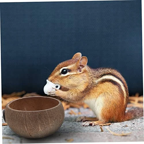 EVANEM 1 Set Hamster Nest Rabbit Water Bowl Squirrel Feeders Bird Cage Feeder Hamster Feeding Bowls Hamster Food Feeder Parrot Feeder Guinea Pig Cage Feeder Hamster Pet Feeder Pet Waterer - Image 5