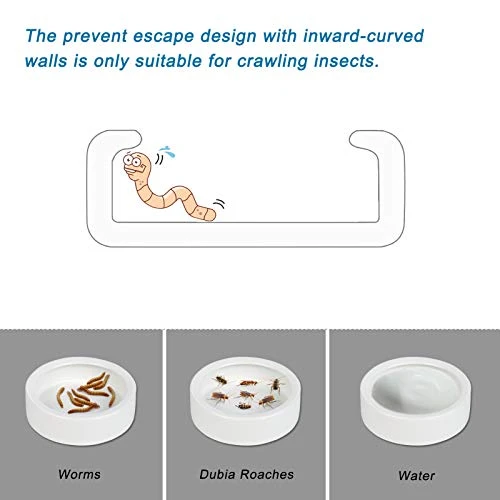 Ceramic Reptile Food And Water Bowl Set Of 3,Mini Reptile Feeding Dish,Worm Dish For Lizard Anoles Bearded Dragons(with Tweezer) - Image 3