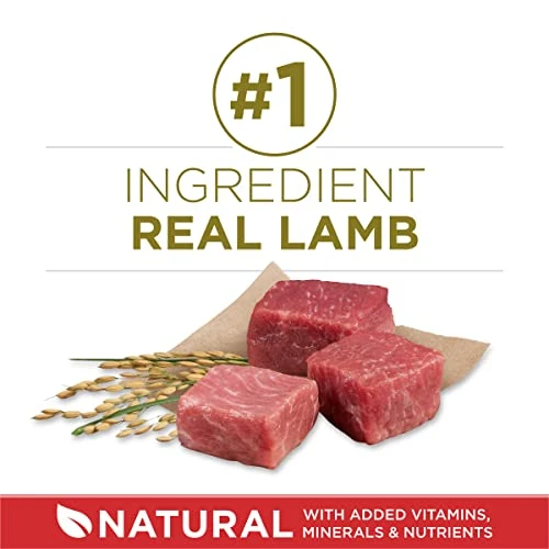 Purina ONE Dry Dog Food Lamb And Rice Formula - 31.1 Lb. Bag - Image 2