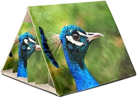 Y-DSIWX Guinea Pig Hideout House Bed, Fast Food Hot Dog Pattern Green Rabbit Cave, Squirrel Chinchilla Hamster Hedgehog Nest Cage - Image 12