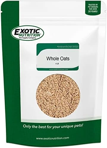 Exotic Nutrition Whole Oats 4 Lb. - Healthy Supplemental Food - Natural Whole Oats For Prairie Dogs, Degus & Chinchillas… - Image 4
