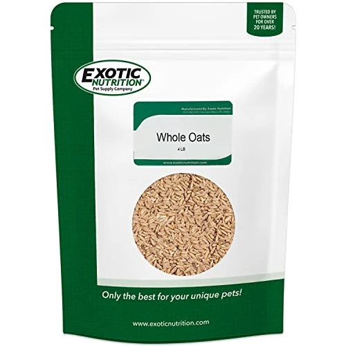 Exotic Nutrition Whole Oats 4 Lb. - Healthy Supplemental Food - Natural Whole Oats For Prairie Dogs, Degus & Chinchillas…