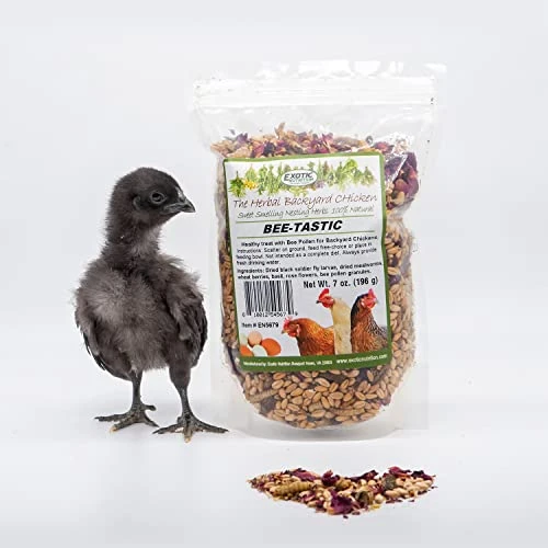 Exotic Nutrition Bee-Tastic - Healthy All-Natural Chicken Treat - Dried Insects, Flowers, Herbs Wheat Berries & Bee Pollen - Promotes Healthy Chickens & Eggs (1.5 Lbs) - Image 3