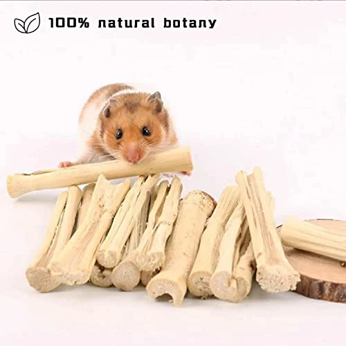 WYOMER 2lb Sweet Bamboo Chew Toy Natural Sweet Bamboo Animals Molar Chew Sticks Toys Pet Snacks Bamboo Sticks Treats - Image 2