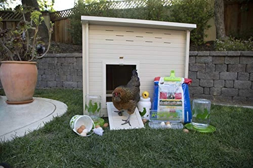 New Age Pet 7 Piece Chicken Accessory Kit - Image 3