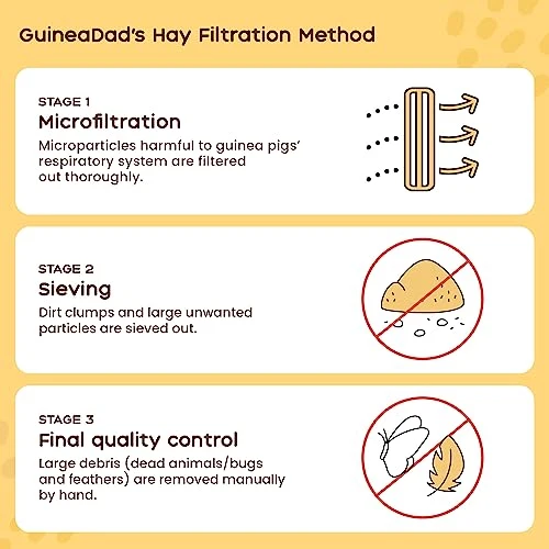 GuineaDad Timothy Hay Bar - Guinea Pig Food - 5 Pack - Pet Food For Rabbits, Small Animals, Hamster Food - Filtered & Hand Packed Guinea Pig Hay - Keeps Hay Secure And Encourages Active Eating - Image 6