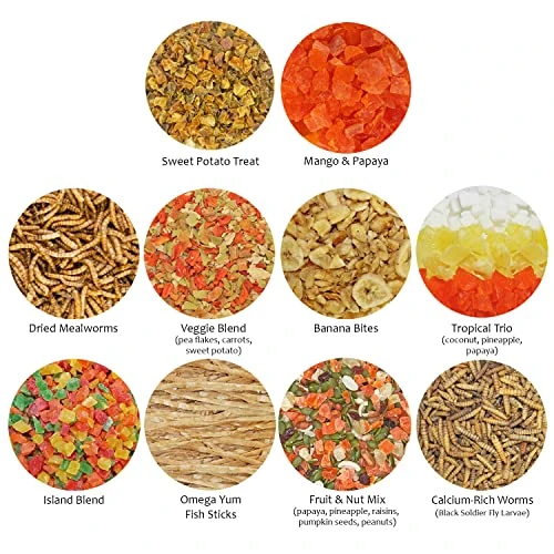 Treat Assortment 10 Pack - Healthy Treat With Mix Of Dried Fruits, Dried Insects, & Crunchies - Sugar Gliders, Rats, Chinchillas, Parrots, Guinea Pigs, Hamsters, Small Animals - Sample Variety - Image 2