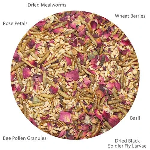 Exotic Nutrition Bee-Tastic - Healthy All-Natural Chicken Treat - Dried Insects, Flowers, Herbs Wheat Berries & Bee Pollen - Promotes Healthy Chickens & Eggs (1.5 Lbs) - Image 2