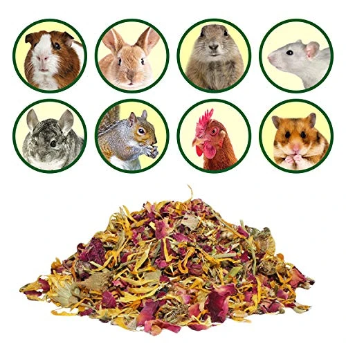 Exotic Nutrition Flower Treat 3 Pack - Healthy Assortment - Hibiscus, Calendula, Rose - For Squirrels, Guinea Pigs, Rabbits, Chinchillas, Prairie Dogs, Degus, Hamster, Gerbils, & Other Herbivores - Image 5