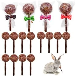 16 Pcs Rabbit Natural Timothy Hay Sticks Guinea Pig Natural Flowers Lollipop Chew Toys Timothy Hay Sticks Wood Molar Toys Small Animal Chew Treats For Bunny Hamsters Chinchillas Gerbils
