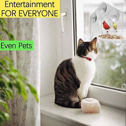 FVOWOH Hanging Glass Bird Table Window Seed Feed Suction Hotel Clear Viewing Pet Toys Dog Feeders For Small Dogs(l3-Clear) - Image 2