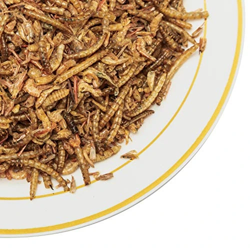 Appetizing Mealworms With Dried River Shrimp (8oz) All Natural 100% Non-GMO,Surf & Turf, Chicken, Fish, Ducks, Wild Birds, Turtles, Hamsters, Fish, And Hedgehogs - Image 3