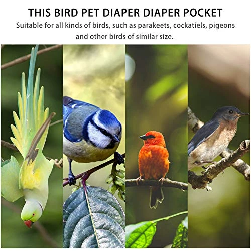 Mipcase Bird Diaper Conure Conure Flight Suit Birds Diaper Flight Cockatiel Flight Suit Parrot Flight Suit Bird Flying Harness Suit With Leash Pet Parrot Costume Conure Flight Suit - Image 4
