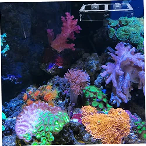 NOGRAX 1pc Fish Tank Feeding Ring Accessory Tray Reptiles Feeder Bowl Suction Cup Fish Feeder Transparent Shrimp Feeder Acrylic Freshwater Feeder - Image 2