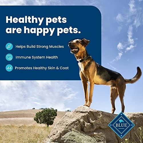 Blue Buffalo Dog Food, Life Protection Formula, Natural Chicken & Brown Rice Flavor, Adult Dry Dog Food, 34 Lb Bag - Image 2