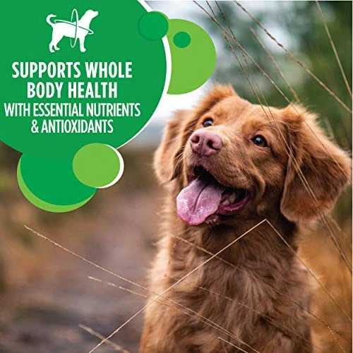 IAMS Adult Minichunks Small Kibble High Protein Dry Dog Food With Real Chicken, 40 Lb. Bag - Image 3