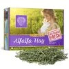 Small Pet Select Alfalfa Hay Pet Food For Young  Rabbits, Guinea Pigs , Chinchillas, Tortoises And Other Small Animals, Easy To Store Box, 5 LB