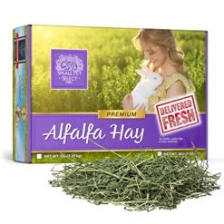 Small Pet Select Alfalfa Hay Pet Food For Young Rabbits, Guinea Pigs , Chinchillas, Tortoises And Other Small Animals, Easy To Store Box, 5 LB