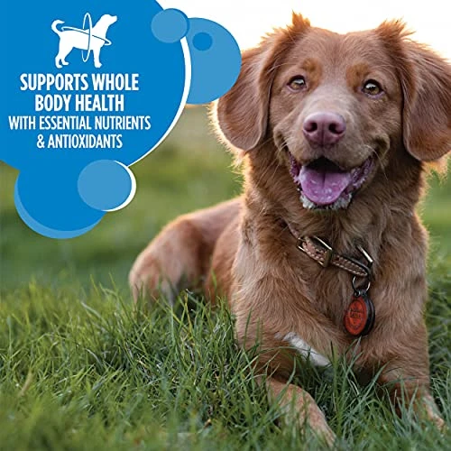 IAMS Adult Healthy Weight Control Dry Dog Food With Real Chicken, 29.1 Lb. Bag - Image 3