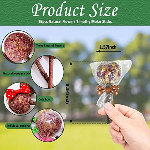 16 Pcs Rabbit Natural Timothy Hay Sticks Guinea Pig Natural Flowers Lollipop Chew Toys Timothy Hay Sticks Wood Molar Toys Small Animal Chew Treats For Bunny Hamsters Chinchillas Gerbils - Image 4