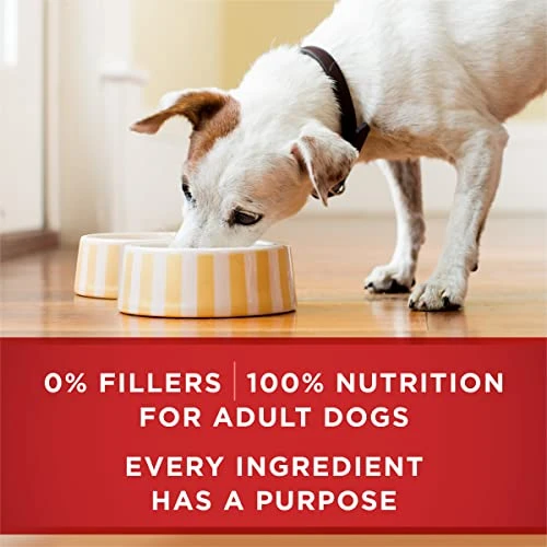 Purina ONE Tender Cuts In Wet Dog Food Gravy Chicken And Brown Rice Entree - (12) 13 Oz. Cans - Image 5