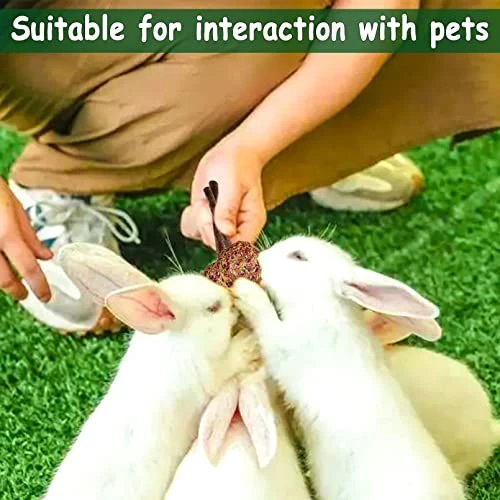 16 Pcs Rabbit Natural Timothy Hay Sticks Guinea Pig Natural Flowers Lollipop Chew Toys Timothy Hay Sticks Wood Molar Toys Small Animal Chew Treats For Bunny Hamsters Chinchillas Gerbils - Image 6