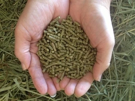 Small Pet Select Rabbit Food Pellets - 5 Pounds Delivered Fresh - Image 2
