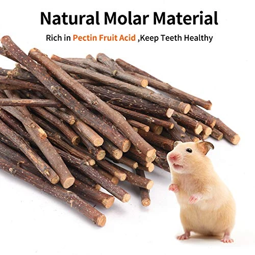 CHUHUAYUAN Natural Apple Sticks, 500g Treats Food For Small Animals, Chew Toys For Chinchilla Guinea Pigs Rabbit Squirrel Hamster Bunny - Image 3