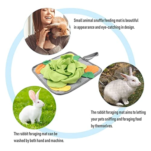 Ipetboom Teething Toy 2pcs Slow For Skills Animal Intelligence Eating Bunny Toys Dispenser Pig Cat Hunting Foraging Natural Ferret Enrichment Dog And Training Work Iq Rabbit Small Rug Toy - Image 2