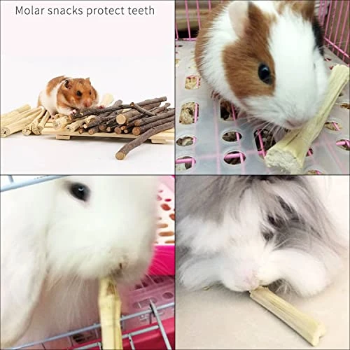 WYOMER 2lb Sweet Bamboo Chew Toy Natural Sweet Bamboo Animals Molar Chew Sticks Toys Pet Snacks Bamboo Sticks Treats - Image 4