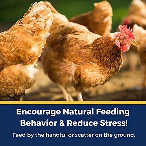Pampered Chicken Mama Backyard Chicken Nesting Herbs For Great Eggs 10 Oz - All-Natural Backyard Chicken Feed Supplies - Hen Treats For The Best Eggs Ever - High Calcium Supplement For Chickens - Image 6