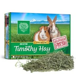 Small Pet Select 2nd Cutting Perfect Blend Timothy Hay Pet Food For Rabbits, Guinea Pigs, Chinchillas And Other Small Animals, Premium Natural Hay Grown In The US, 10 LB