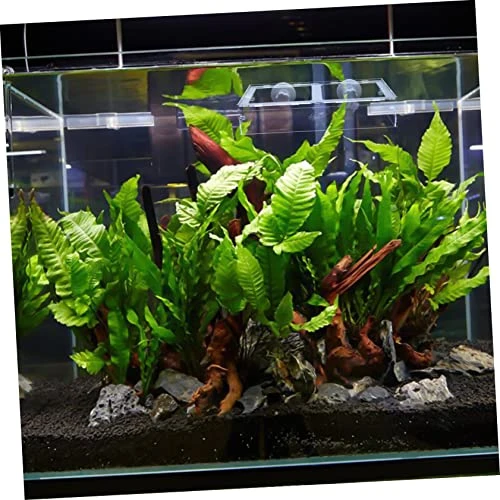 NOGRAX 1pc Fish Tank Feeding Ring Accessory Tray Reptiles Feeder Bowl Suction Cup Fish Feeder Transparent Shrimp Feeder Acrylic Freshwater Feeder - Image 3