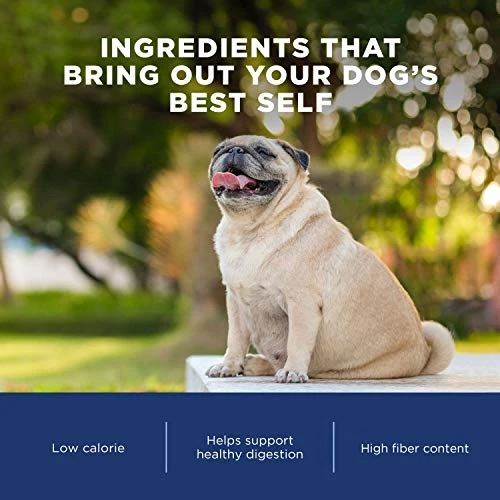 Natural Balance Fat Dogs Low Calorie Dry Dog Food Chicken Meal, Salmon Meal, Garbanzo Beans, Peas & Oatmeal, 15 Pounds (Packaging May Vary) - Image 5